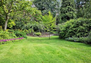 Optimiser l'expérience du jardin à Doullens